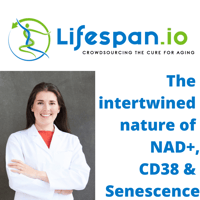 CD38,NAD+ and Senescence